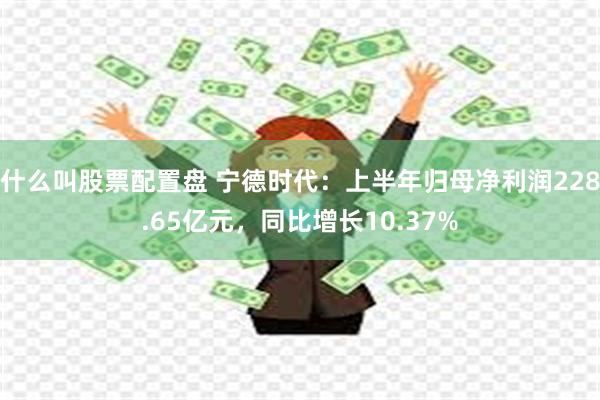 什么叫股票配置盘 宁德时代：上半年归母净利润228.65亿元，同比增长10.37%