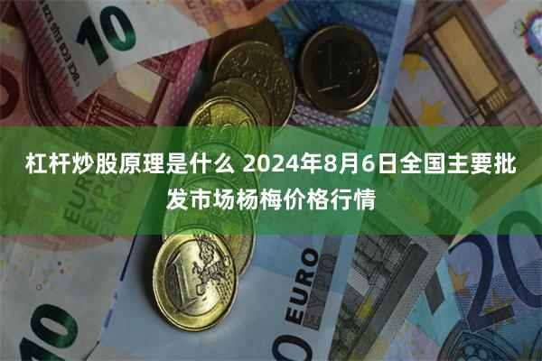 杠杆炒股原理是什么 2024年8月6日全国主要批发市场杨梅价格行情