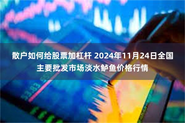 散户如何给股票加杠杆 2024年11月24日全国主要批发市场淡水鲈鱼价格行情