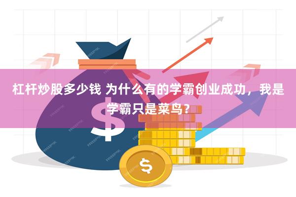 杠杆炒股多少钱 为什么有的学霸创业成功，我是学霸只是菜鸟？